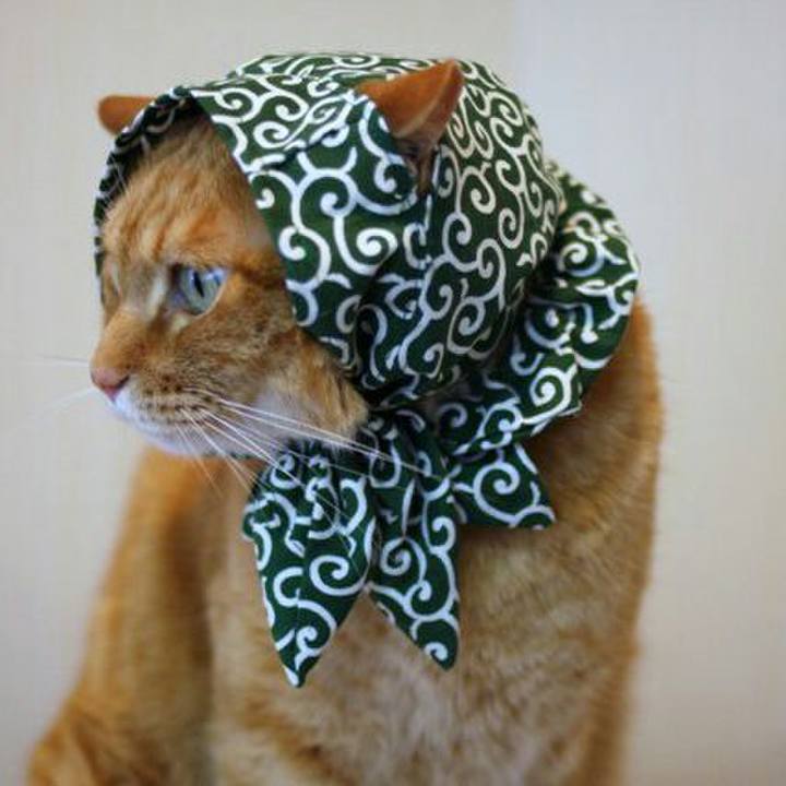 7c9f1b6c 45f1 4a16 b2be 596c3116f629