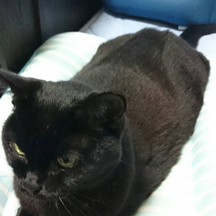 7c9f1c9e fc45 42c6 a7d0 fccdbc635ca6