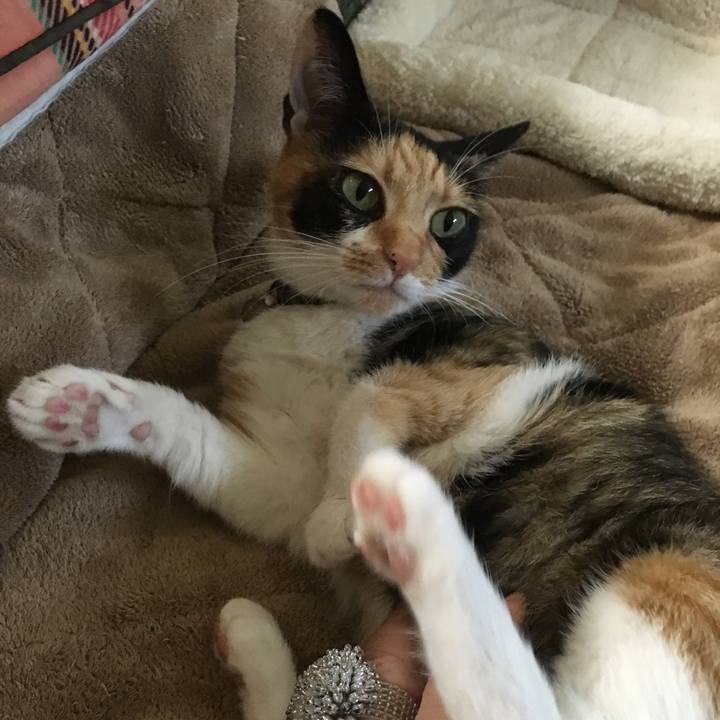 7c9f3377 78f2 461a b56d 97e3db90cc09