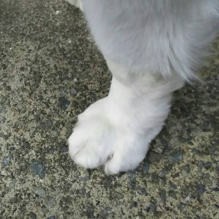 7c9f912e 4860 43c9 b1ca f55cc6b39e16