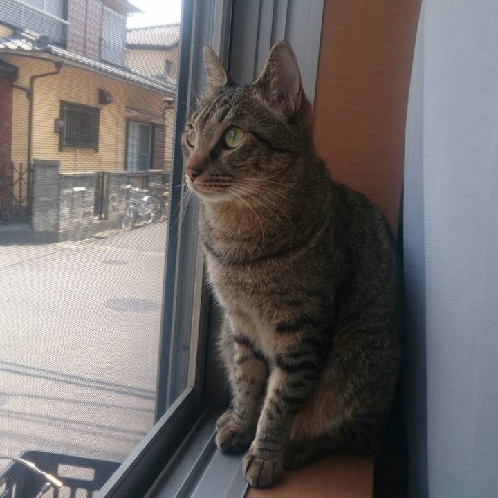 7ca0a491 a914 4093 9fe3 d182fb0632aa