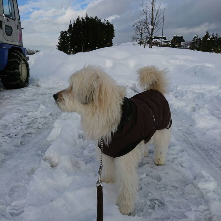 7ca19cae bfe3 4cea 8be4 d5941ac2725b