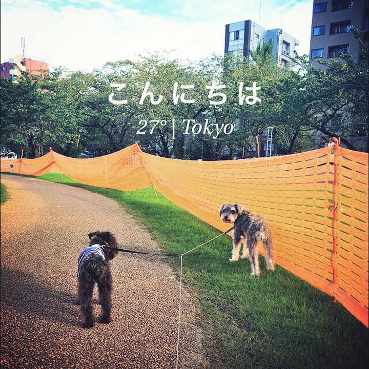 7ca2af73 d93a 40a5 bc4e 0d905a1c9121