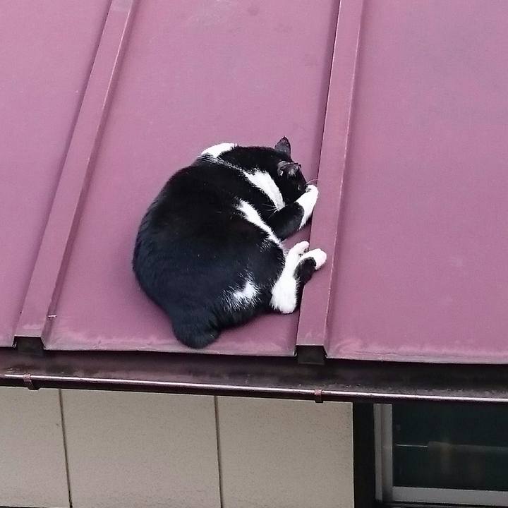 7ca2f223 a4a4 4ac3 9311 d0794ad5b524