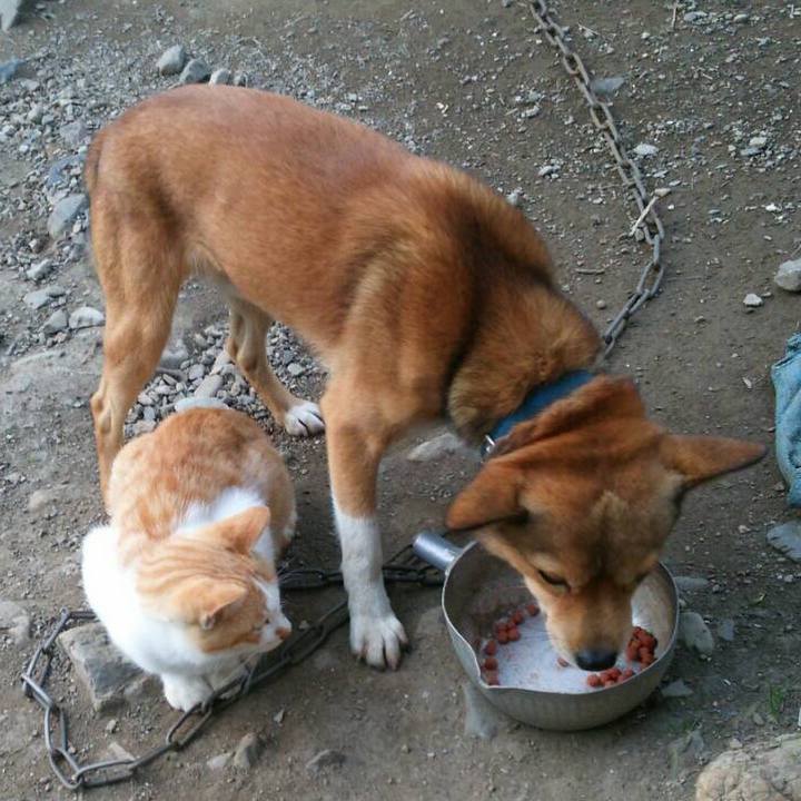 7ca38f36 15a3 4479 a2c6 291a8e9570dd