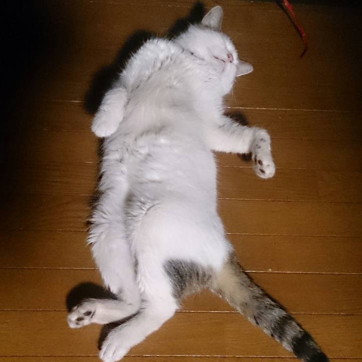 7ca3fb32 0fec 4ba2 8e1e eb44e4dc3e9b