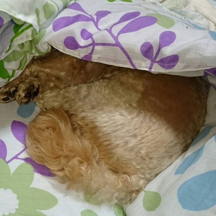 7ca412f0 1304 43bd a0d1 f3076a174e5f