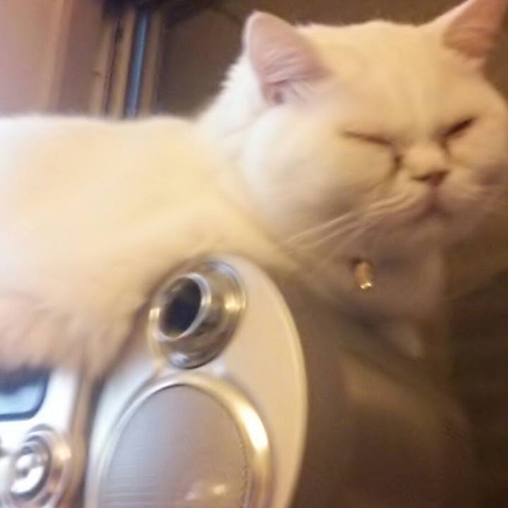 7ca46887 7320 4129 ab47 550737a3ac3a