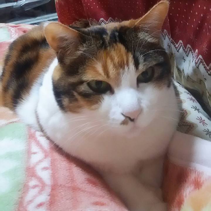 7ca4ed6f a380 4c44 9541 0947af4ace96