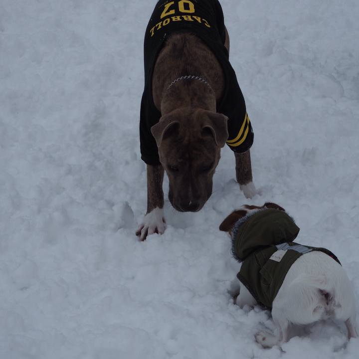 7ca5946a f7cf 4119 83ca 2e9097eaeb8c