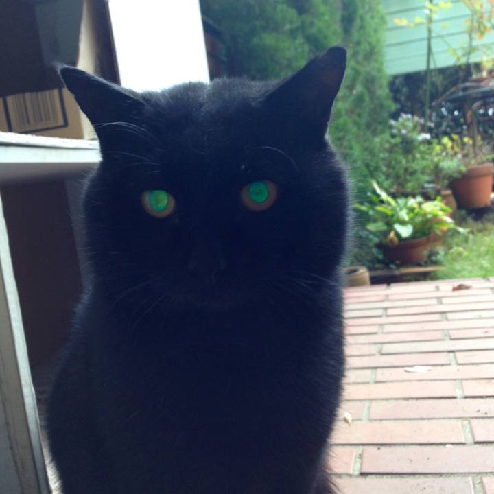 7ca5b7e3 781d 4f7e b9e7 f0c5c398408e