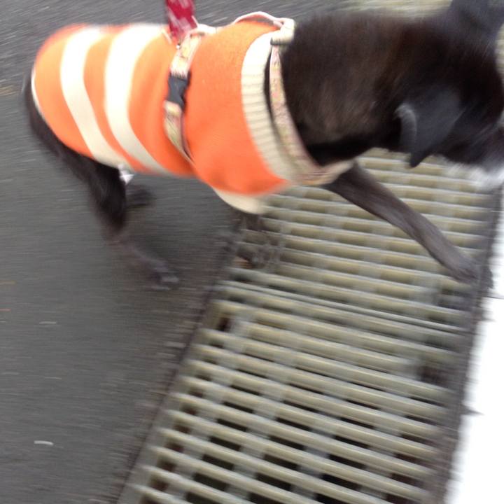 7ca6ee8a 1346 4fde a5f0 14544295adb8