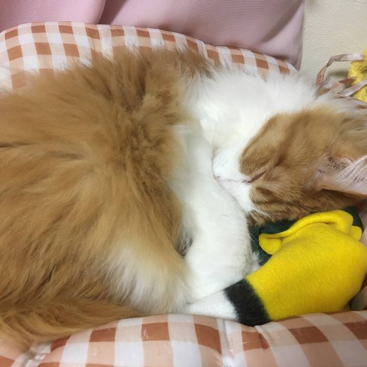 7ca6f8b9 6847 40fa b9d9 977f3db3e086