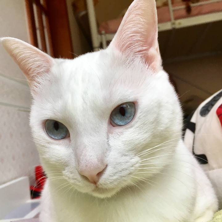 7ca6f936 2a0f 40e0 a1d5 b7bb7d3a7850