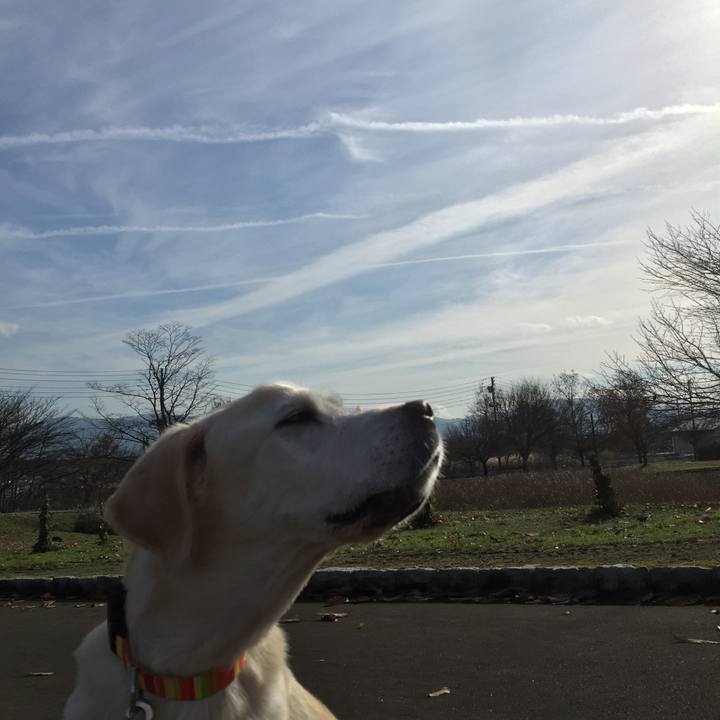 7ca75433 a8c1 4d93 9b28 91b9bf7f4dfa