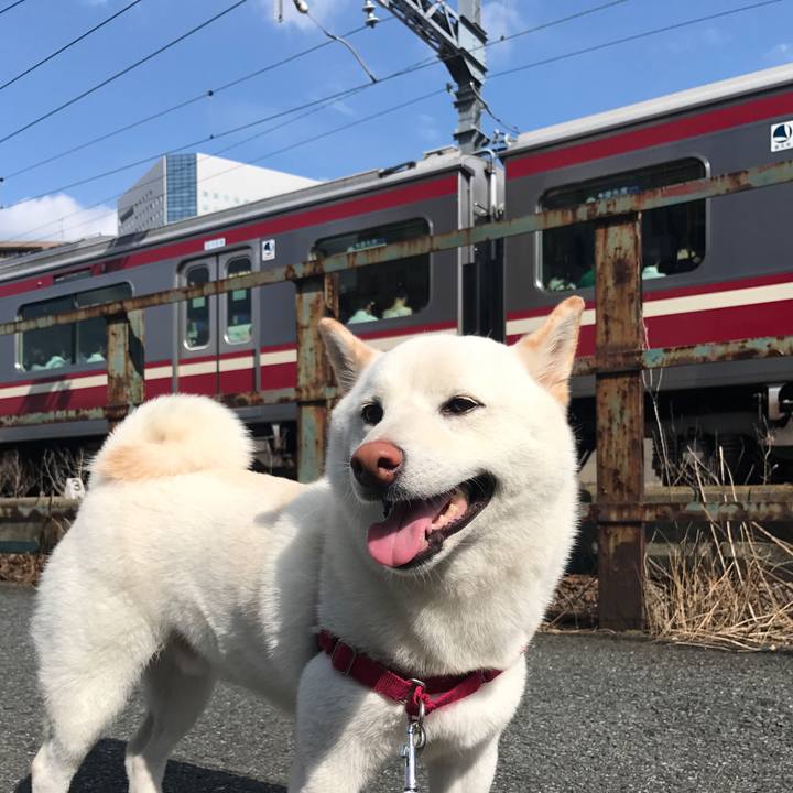 7ca754a2 0c66 45b5 b989 3d6504cabba6