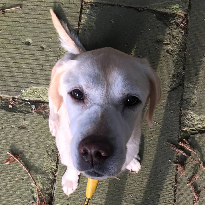 7ca769f4 8c13 42d3 a09d 04638b744b0c