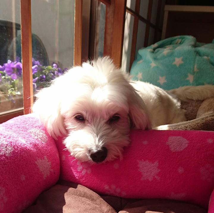 7ca773a0 0a84 4dae bdb8 81a6a8da6ae0