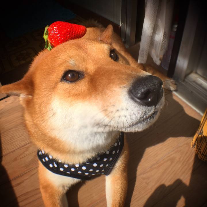 7ca788c1 6c52 4e2f 8aee 28ce011d2c25