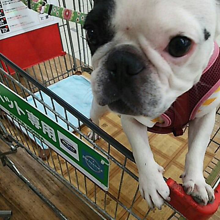 7ca7eed0 abe4 411b b1c8 1a763113a622