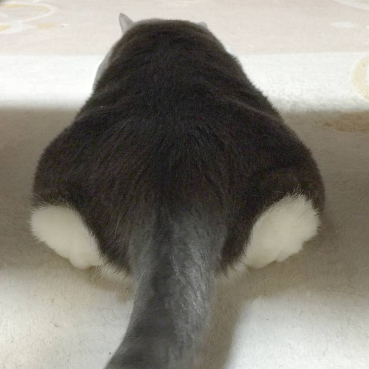 7ca8278b bd57 41dc b3e5 e6ff7095b2b7