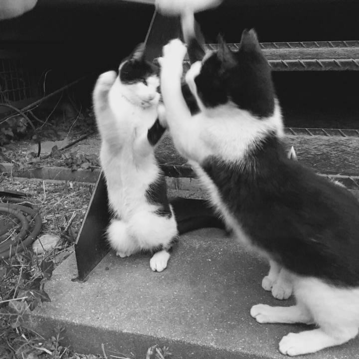 7ca83095 9747 48c0 b8a9 076db3b0be29