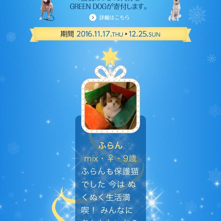 7ca844b3 9d79 4be1 ae62 dbad6559ff01