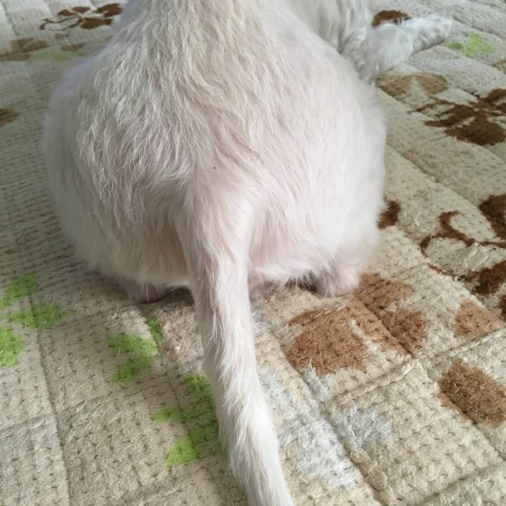 7ca8e867 f8cc 4a55 992b 487fb31a9dad