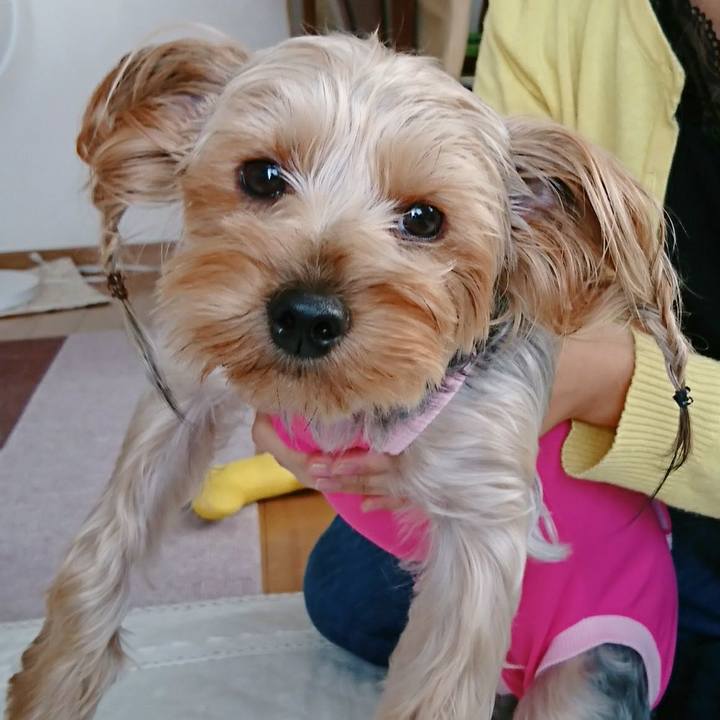 7ca94eb8 f3ba 4ab5 8732 f826c16b7847