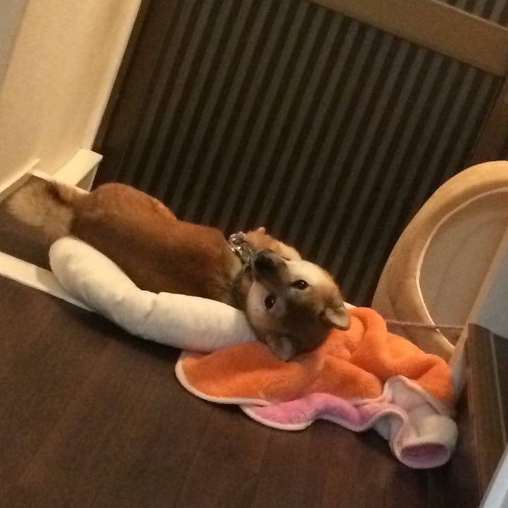 7ca95540 2cc6 4625 8cd8 8a393a45e3f1