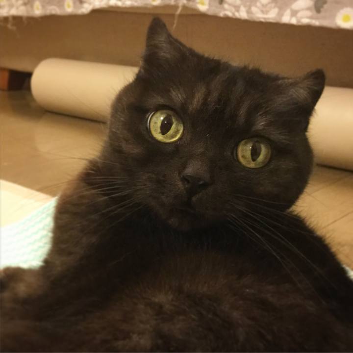 7ca95e0b 37ea 4b6b b7a6 8bf638e60263