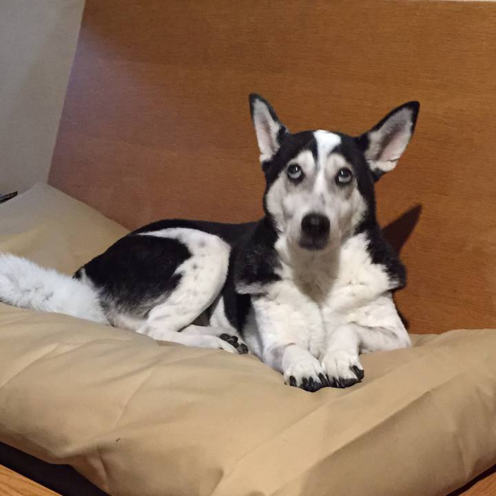 7ca97db9 0eaf 4d95 adab d85578315d28