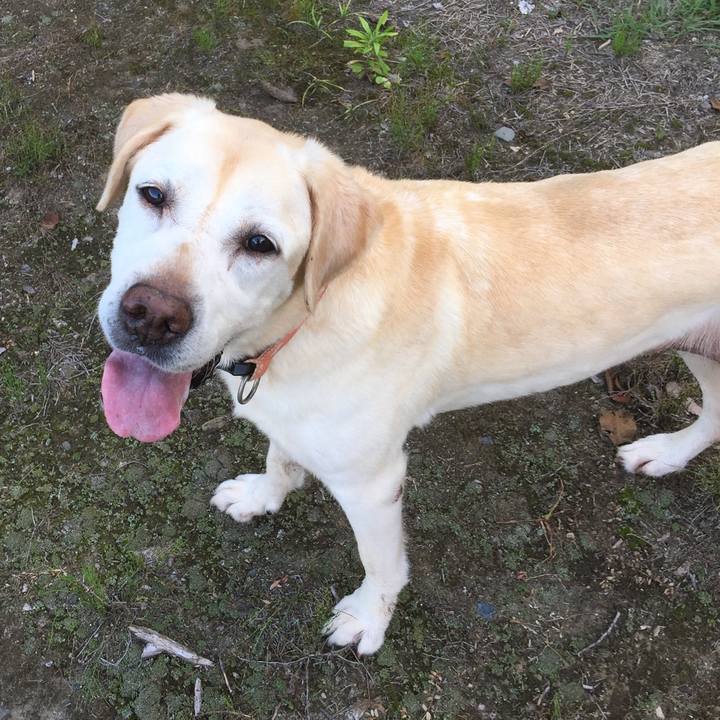 7ca98e29 5fa6 4268 95f1 54d157c398ed