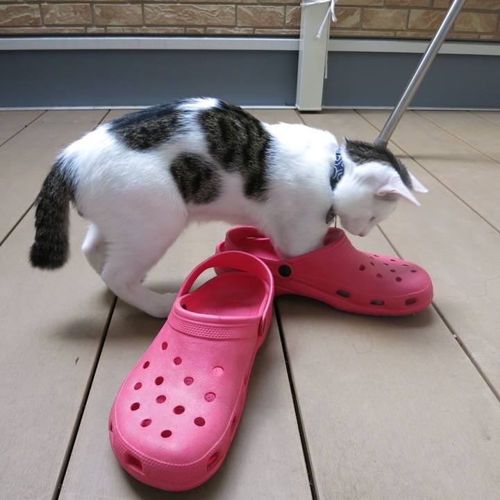 7ca9b024 fb0a 4966 bf90 8229556a15c2