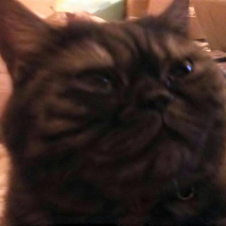 7ca9b2f7 266b 468f 98d2 cbd7ecd740de