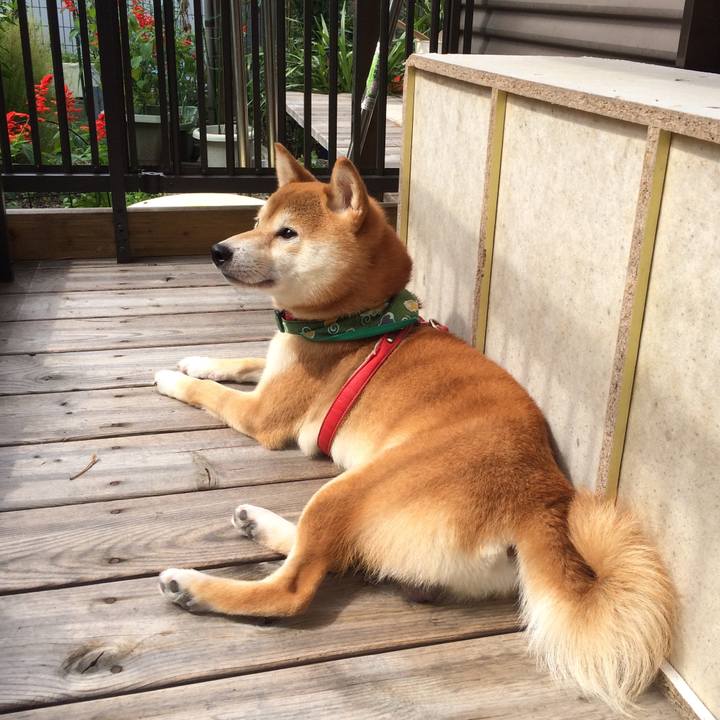 7ca9b640 2dba 4a4c 9df8 f64135b60342