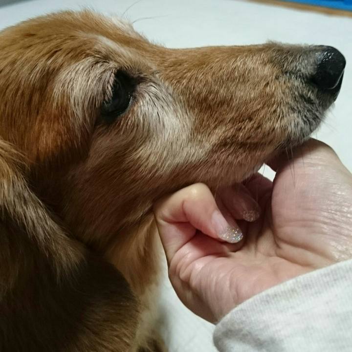 7caa2e65 206a 4deb a439 8ee4c72935bf