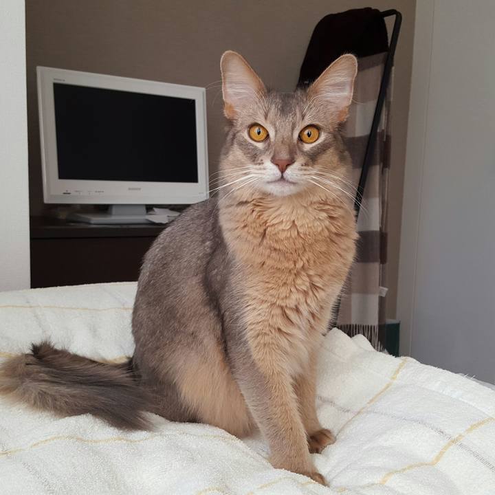 7caa677c d13e 4f73 b657 45f12225e572