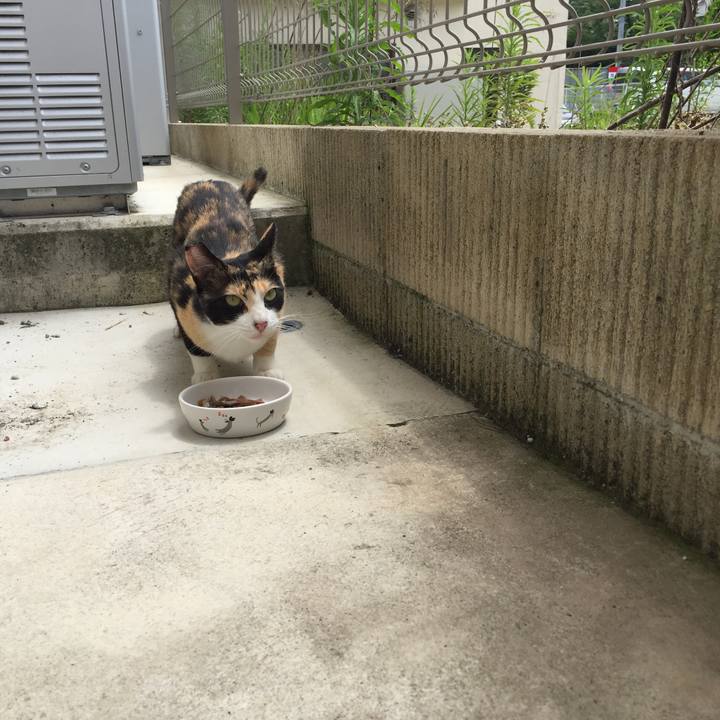 7caaa0f8 a7eb 414d a6f5 011549832a47