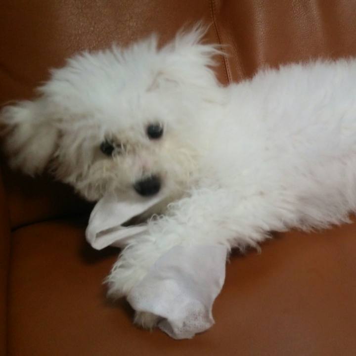 7caad9f5 fb10 4534 b93e 3ab373809212