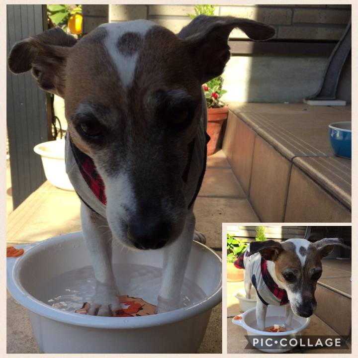 7cab180d 61f3 407e aff5 d5ef075a615f