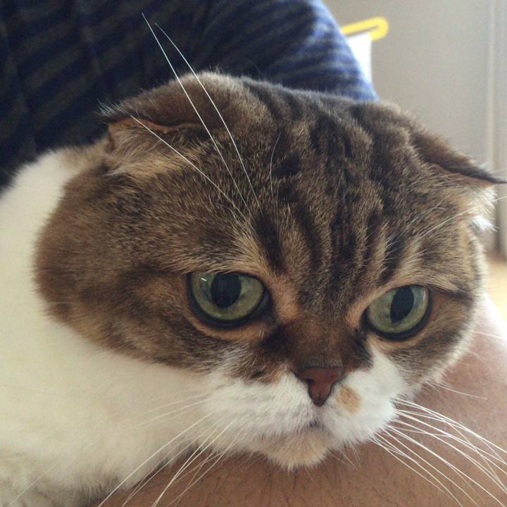 7cab2604 6fa7 4eb1 803e 2738700fce37