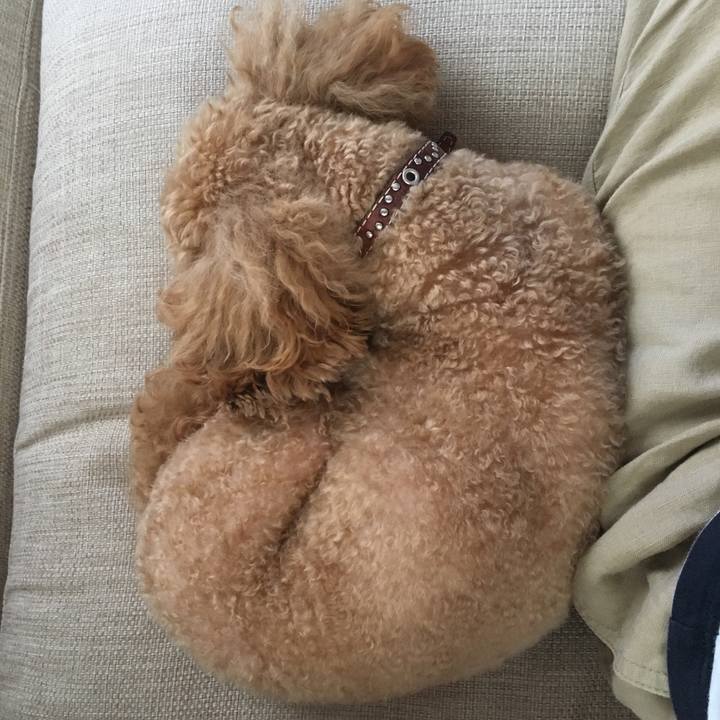 7cab7e94 7522 48a3 8344 67b83c88e1af