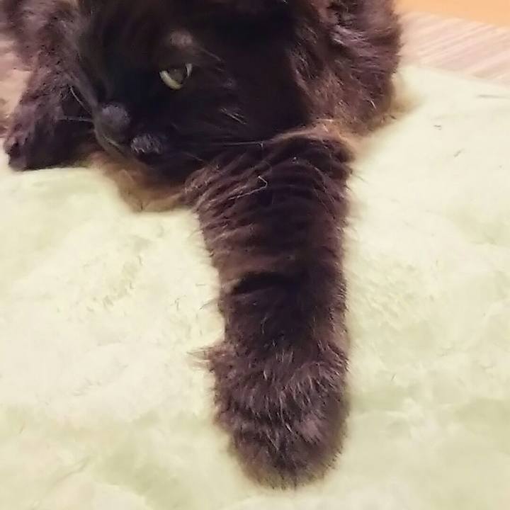 7cabcf53 cec4 49f7 ac7f 5817fd6b95d6