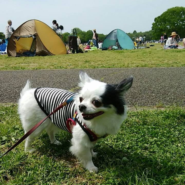 7cabee99 8916 4ec2 a03a 4deea752c5bc