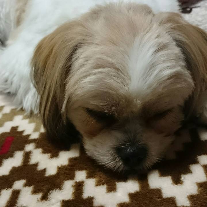 7cac3668 8b2a 4cdb 9d27 df8745267ef0