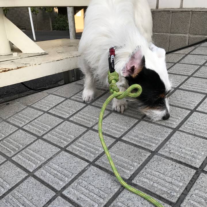 7cad107f 30fb 43a9 b804 825f90632373