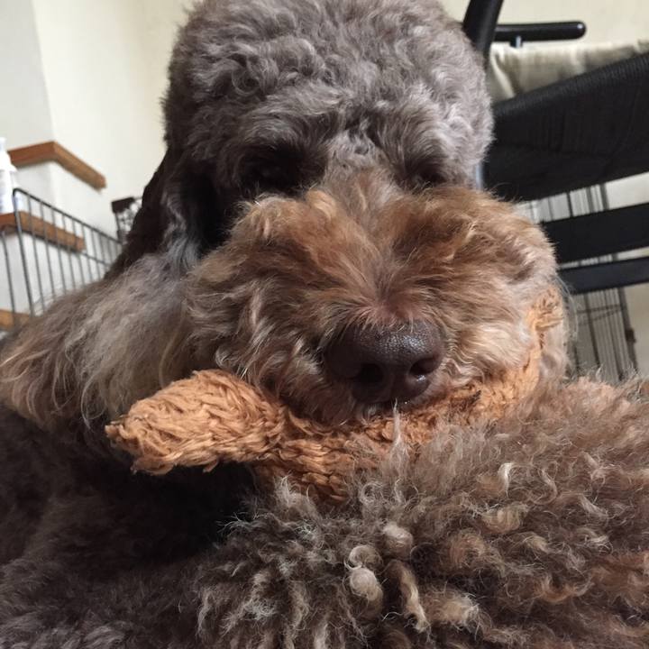 7cade2d4 6d95 44ab 871b 98fd6890ba65