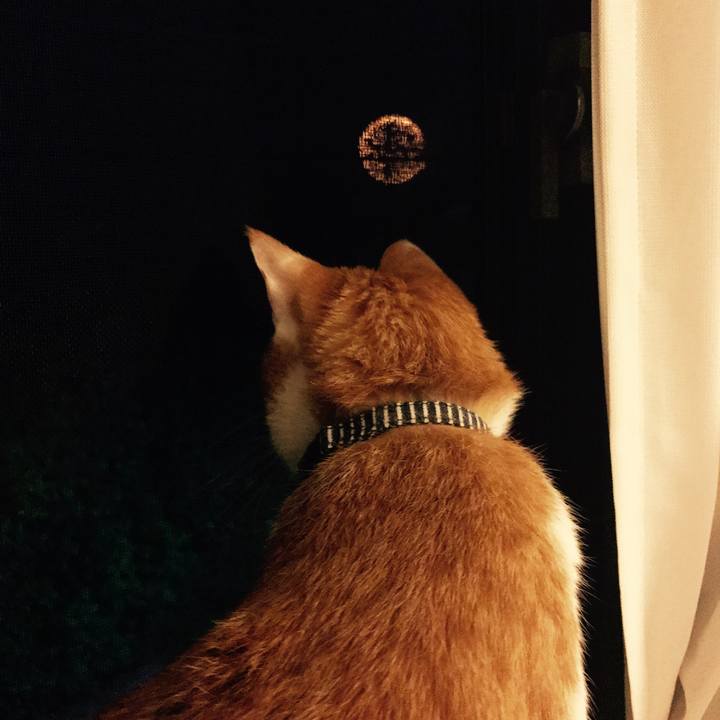 7caed21f fd70 4a2c 9f6a 237fe433b968