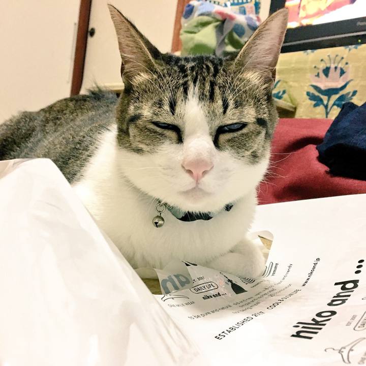 7caf1d57 1eca 4fe2 a1d9 c32959661bd5